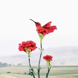 Meet your Posher, Arnold